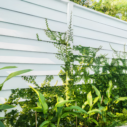 Privacy Fence